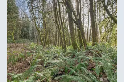 0 W Belfair Valley Road, Bremerton, WA 98312 - Photo 1