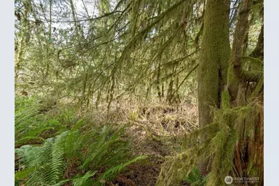 0 W Belfair Valley Road, Bremerton, WA 98312 - Photo 9