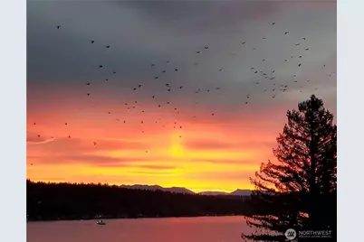 12725 42nd Avenue NE, Seattle, WA 98125 - Photo 17