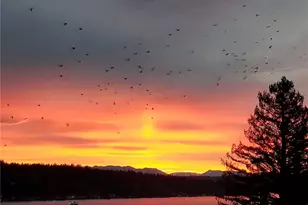 12725 42nd Ave NE, Seattle, WA 98125 - Photo 17