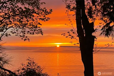 6955 Birch Bay Dr, Blaine, WA 98230 - Photo 39