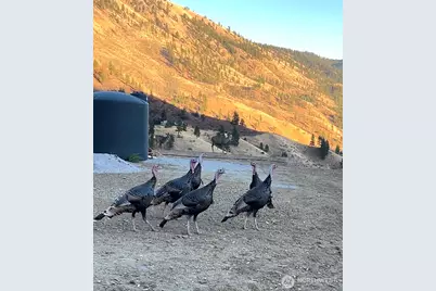 9660 Nahahum Canyon Road, Cashmere, WA 98815 - Photo 11