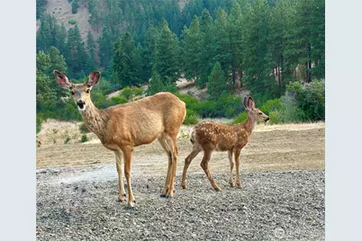 9660 Nahahum Canyon Road, Cashmere, WA 98815 - Photo 9