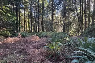 21635 NE Woodinville Duvall Rd, Woodinville, WA 98077 - Photo 7