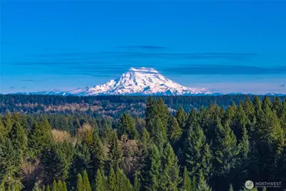 8739 62nd Court SE, Lacey, WA 98513 - Photo 9