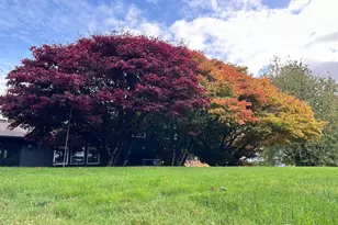 5412 93rd Dr SE, Snohomish, WA 98290 - Photo 33