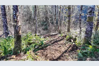 11 W Highland Y Road, Shelton, WA 98584 - Photo 31