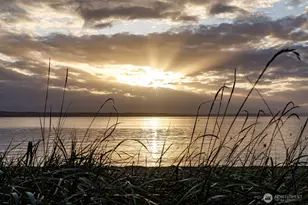 7683 Maxwelton Rd, Clinton, WA 98236 - Photo 35