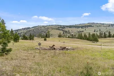 0 Lot 39 Homestead Spur Road, Oroville, WA 98844 - Photo 9