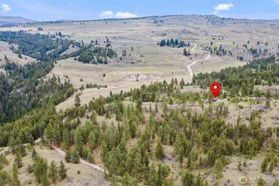 0 Lot 39 Homestead Spur Road, Oroville, WA 98844 - Photo 3
