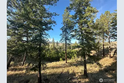 0 Lot 39 Homestead Spur Road, Oroville, WA 98844 - Photo 33