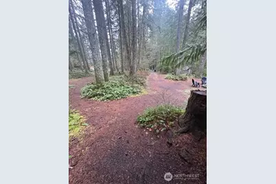 1021 N Potlatch, Hoodsport, WA 98548 - Photo 25