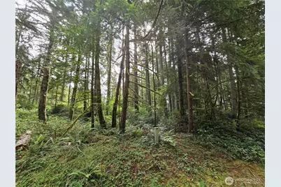 9325 123rd Avenue, Anderson Island, WA 98303 - Photo 3