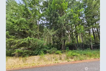 9325 123rd Avenue, Anderson Island, WA 98303 - Photo 7