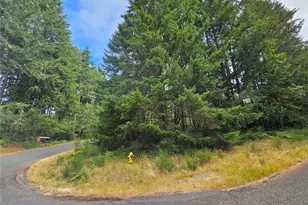 9325 123rd Ave, Anderson Island, WA 98303 - Photo 1