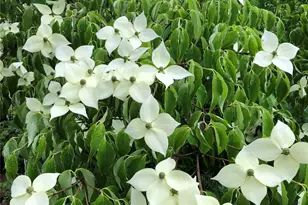 8625 Conwhit Ln SW, Port Orchard, WA 98367 - Photo 39