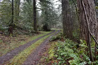 15327 May Creek Road, Gold Bar, WA 98251 - Photo 23