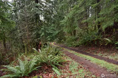 15327 May Creek Road, Gold Bar, WA 98251 - Photo 21