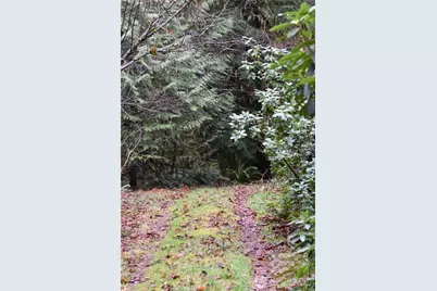 15327 May Creek Road, Gold Bar, WA 98251 - Photo 35
