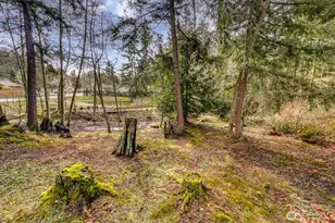 8931 50th Pl W, Mukilteo, WA 98275 - Photo 39