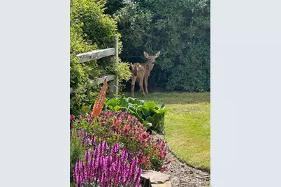 1939 49th Street, Port Townsend, WA 98368 - Photo 37