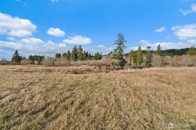 0 X Lilly Wheaton Road, Raymond, WA 98577 - Photo 3