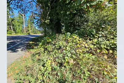 22550 NE Sr-3 Highway, Belfair, WA 98528 - Photo 19