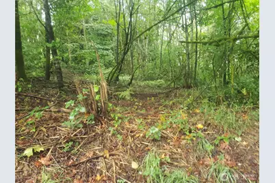 10943 Lundeen Road SW, Rochester, WA 98579 - Photo 5