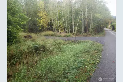 10943 Lundeen Road SW, Rochester, WA 98579 - Photo 11