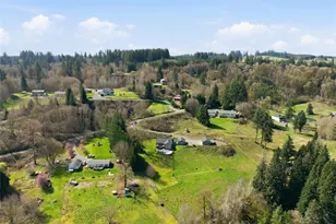 13708 NE 401st Way, Amboy, WA 98601 - Photo 37