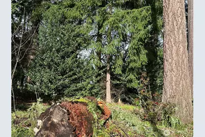 15827 Lawrence Place SE, Yelm, WA 98597 - Photo 5