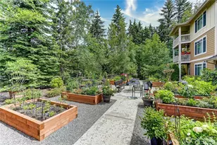 23924 NE 115th Ln, Redmond, WA 98053 - Photo 37