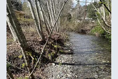 60 N Lake Cushman Road, Hoodsport, WA 98320 - Photo 5