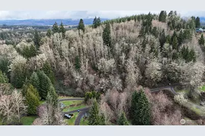 0 Ciannigan Hill, Mossyrock, WA 98564 - Photo 5