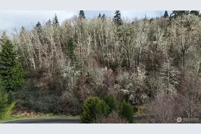 0 Ciannigan Hill, Mossyrock, WA 98564 - Photo 3