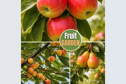 4655 234 Ave SE, Sammamish, WA 98075 - Photo 37