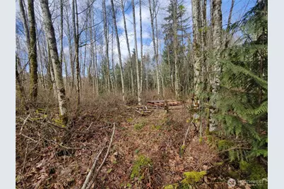 8146 Watkins Road, Sumas, WA 98295 - Photo 23