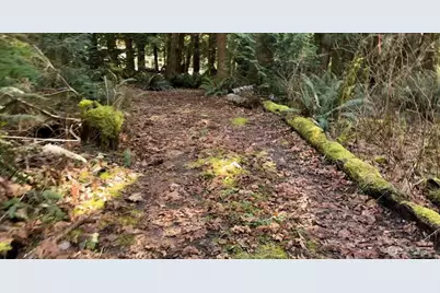 8146 Watkins Road, Sumas, WA 98295 - Photo 5