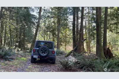 8146 Watkins Road, Sumas, WA 98295 - Photo 7