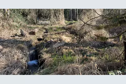 8146 Watkins Road, Sumas, WA 98295 - Photo 9