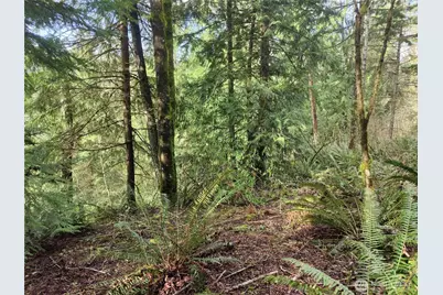 8146 Watkins Road, Sumas, WA 98295 - Photo 29