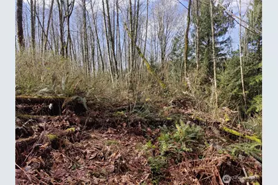 8146 Watkins Road, Sumas, WA 98295 - Photo 25