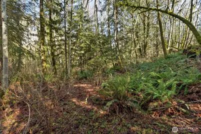 41971 Cedar Street, Concrete, WA 98237 - Photo 31