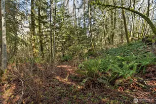 41971 Cedar St, Concrete, WA 98237 - Photo 31