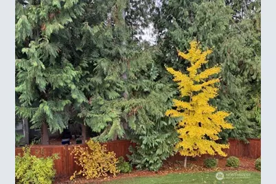 1845 230th Avenue NE, Sammamish, WA 98074 - Photo 37