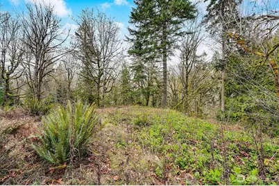 376 Beach Drive, Quilcene, WA 98376 - Photo 9