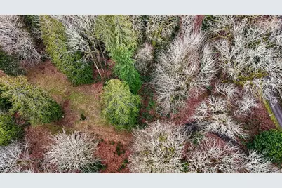 376 Beach Drive, Quilcene, WA 98376 - Photo 31