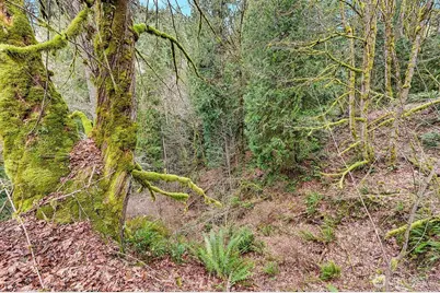 376 Beach Drive, Quilcene, WA 98376 - Photo 7