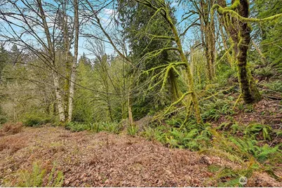 376 Beach Drive, Quilcene, WA 98376 - Photo 1