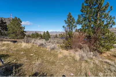 15315 Lakeview Street, Entiat, WA 98822 - Photo 9